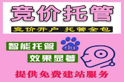 揭秘百度竞价排名：实战案例解析